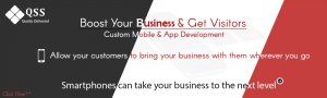 custom software development companies in chicago