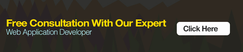 web app development company