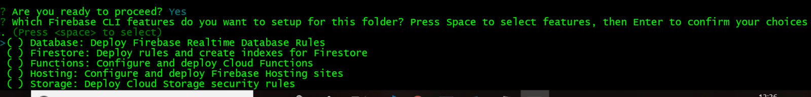 Firebase Init