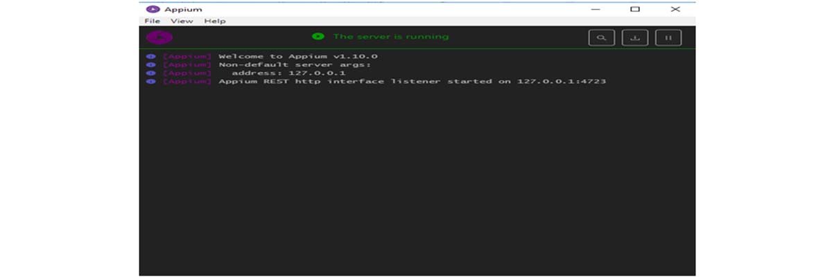 Appium Server is started
