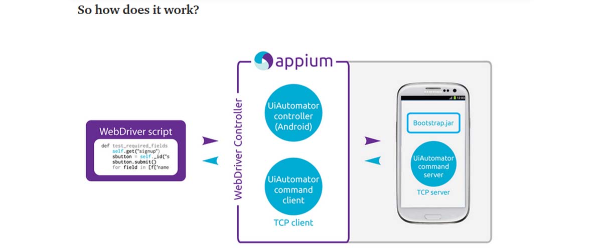 Appium Test