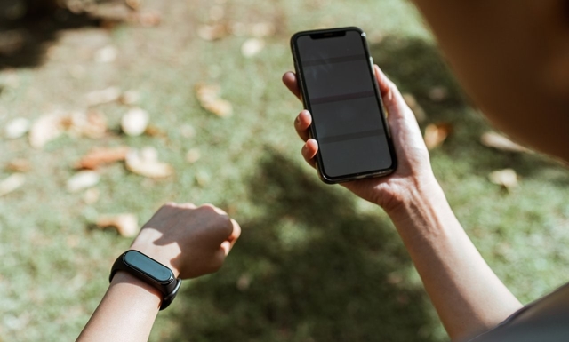 Role 4- Wearables App Developers