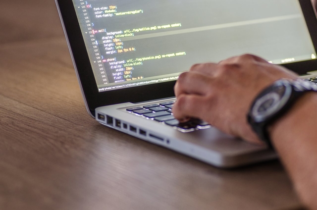 Role 5- Software Developers