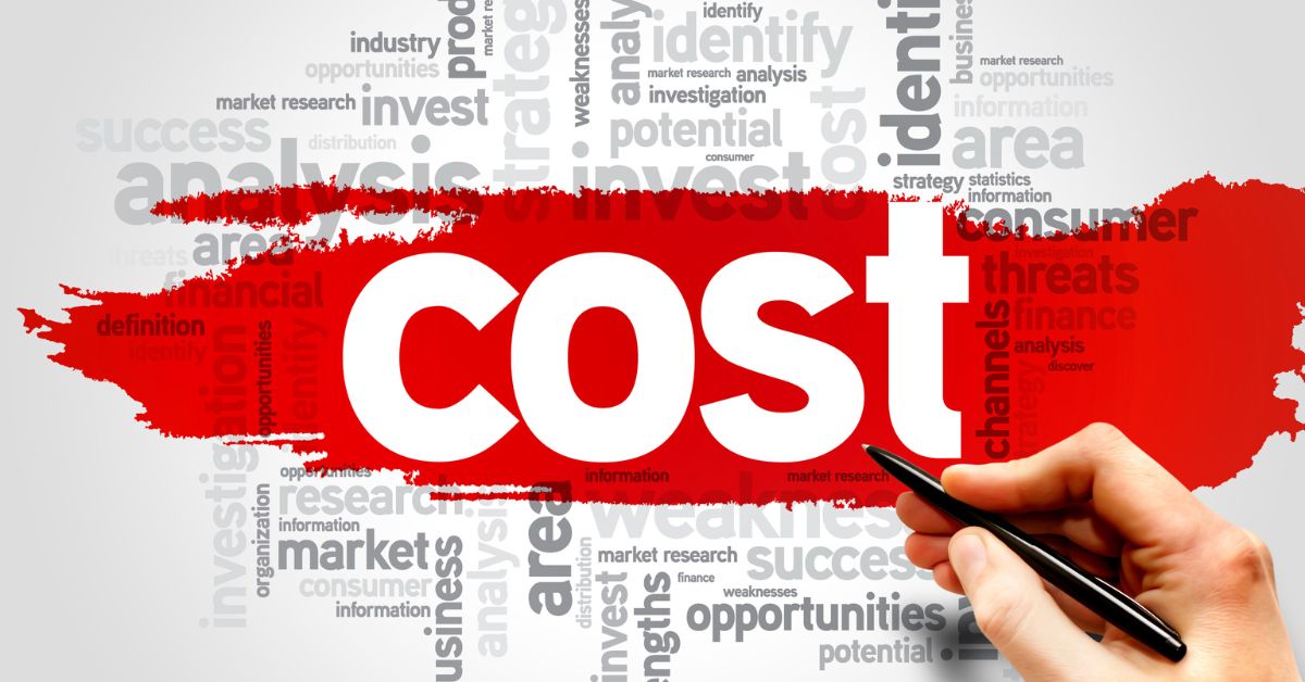 Cost of Developing a Disney Cost of Developing a Disney