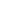 Security Testing